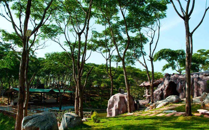 RDs Nature Retreat, Bangalore 3